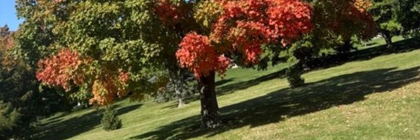 emilyn56x's profile banner image