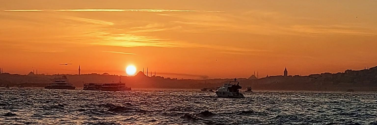 fenerbahcemsim's profile banner image