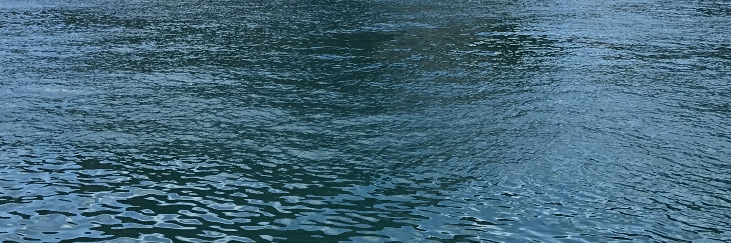 lildeebz's profile banner image