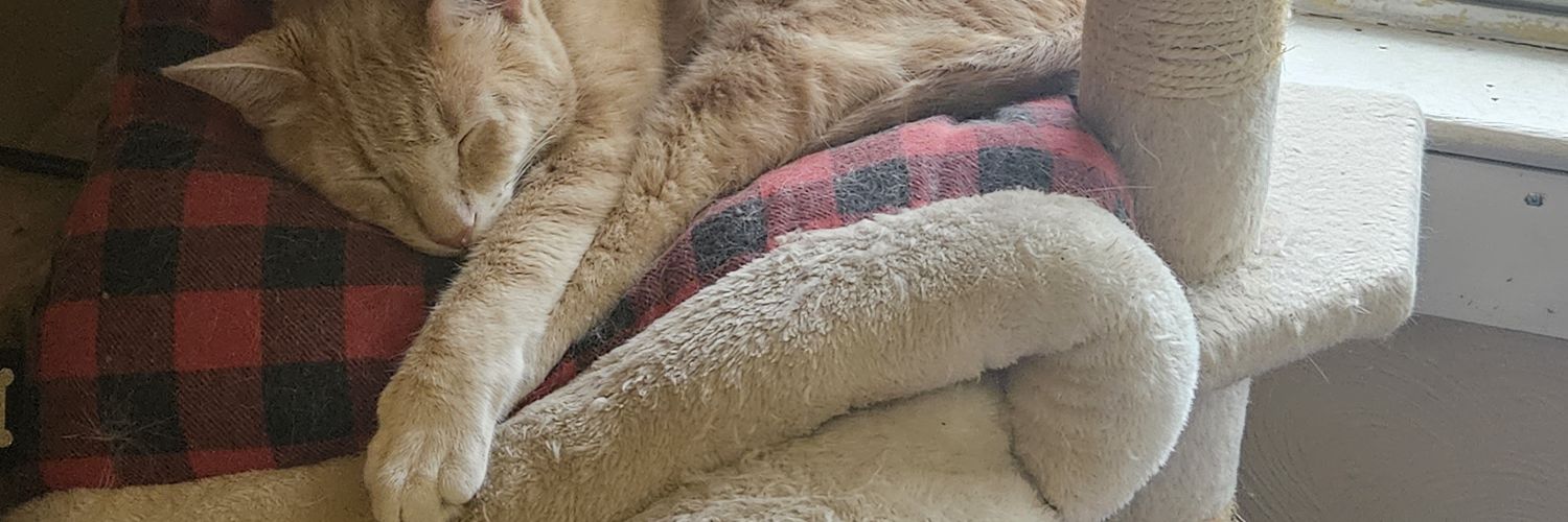 KeithBird5's profile banner image