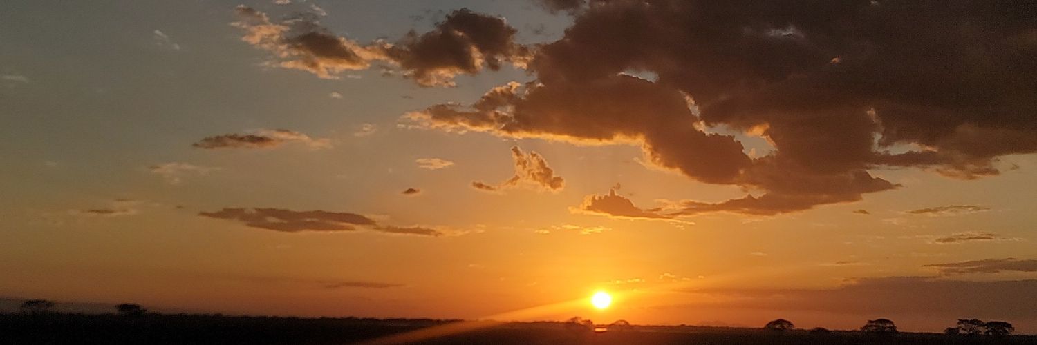 cocoaepps's profile banner image
