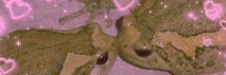 Hemolymphe 🩸 banner