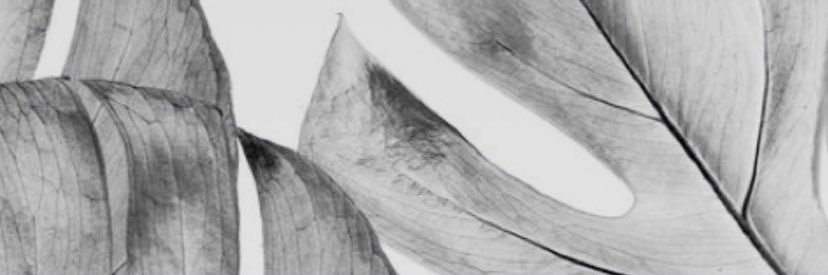 Bethan_Willis's profile banner image
