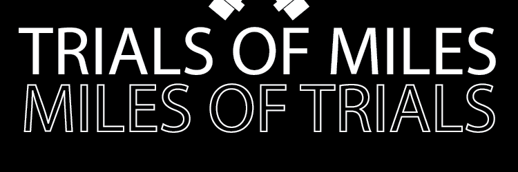 P North Vikings XC banner