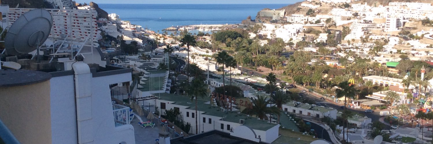 the truth only. 🇵🇸🇮🇪 banner