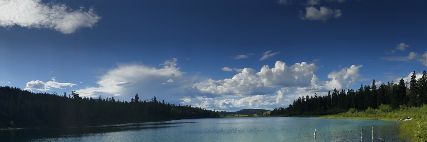 Isaiah Ledgister banner
