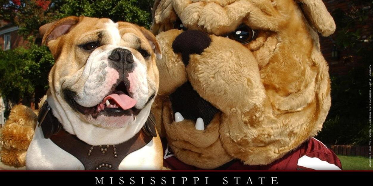 StevenBDawg's profile banner image