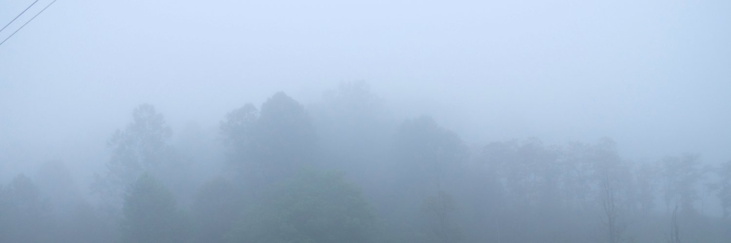 cloudseeds1's profile banner image
