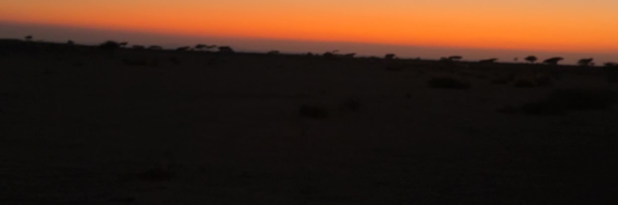 1981ny1's profile banner image