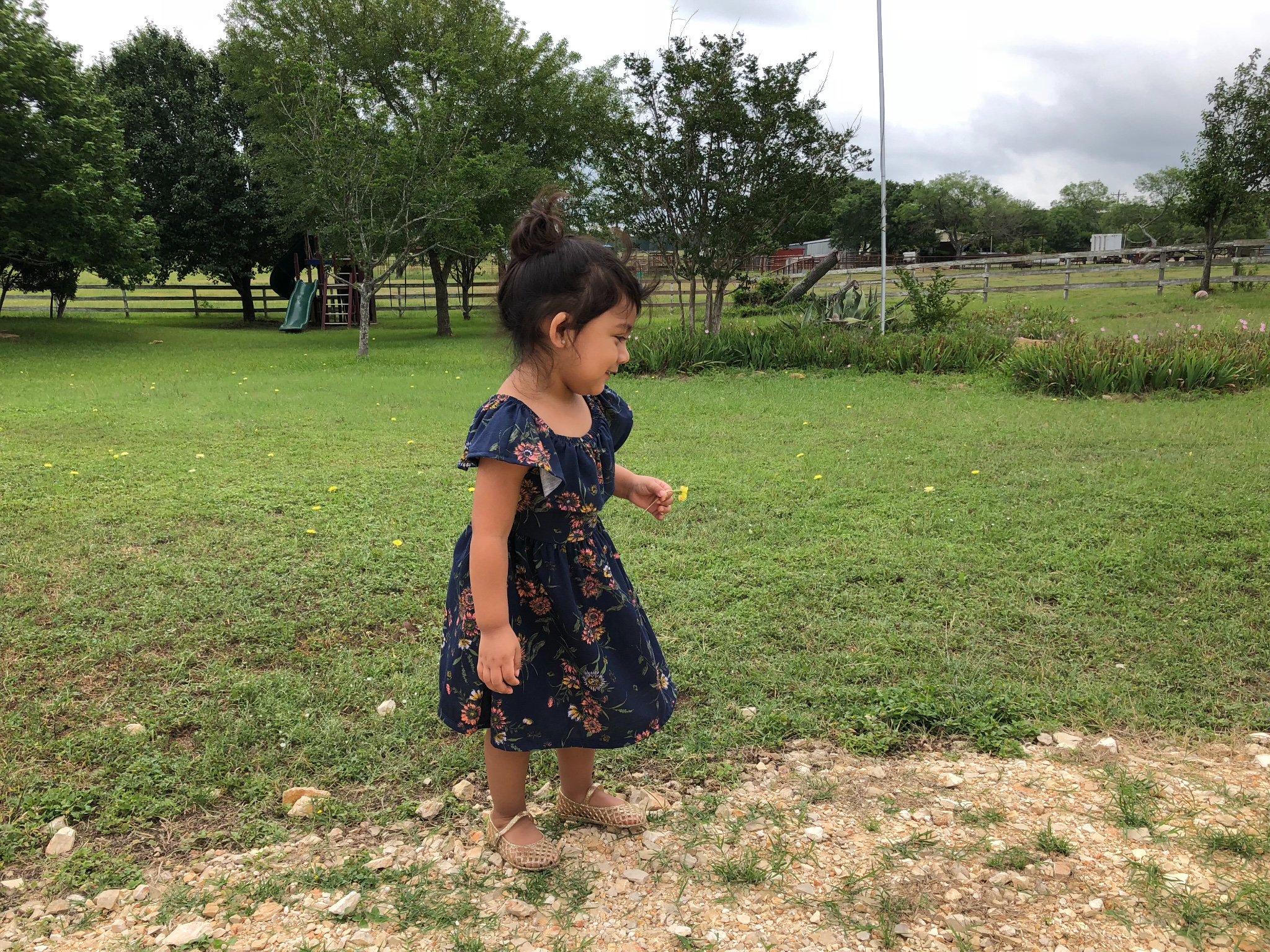 kittykelsie's profile banner image