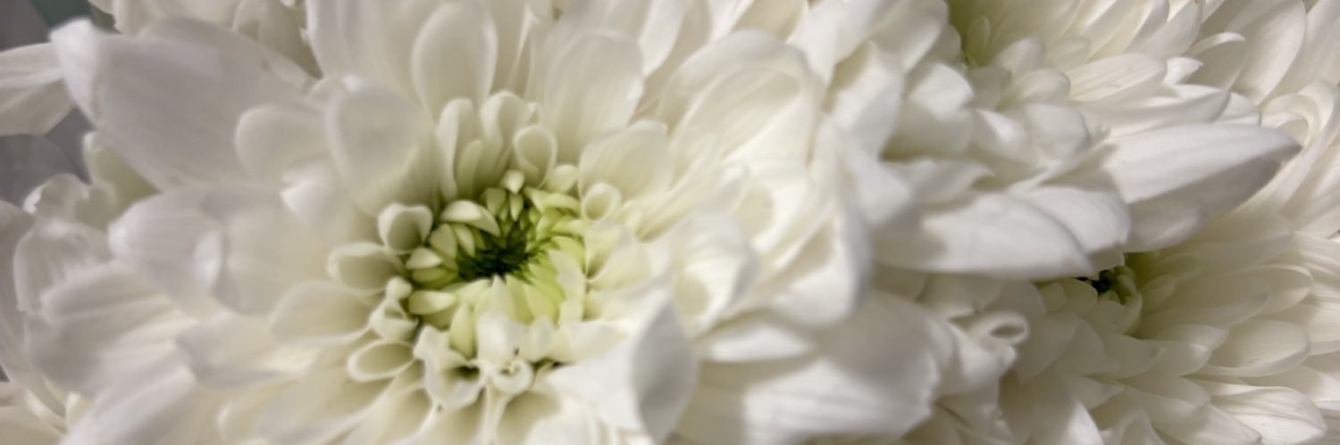 sbusile_'s profile banner image