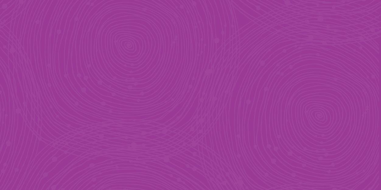 The Privacy Guru banner
