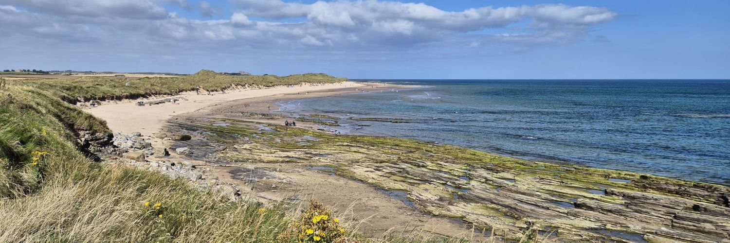 Joanna Webster banner