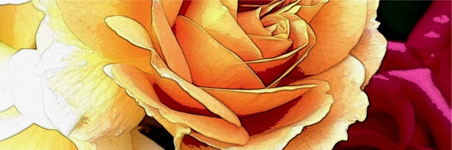 IFSArchitects's profile banner image