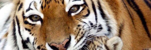 440Liz's profile banner image