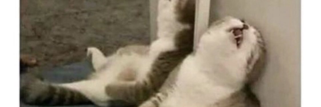 Isabel M banner