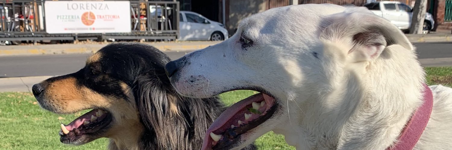 Rodrigo ⛓️ banner