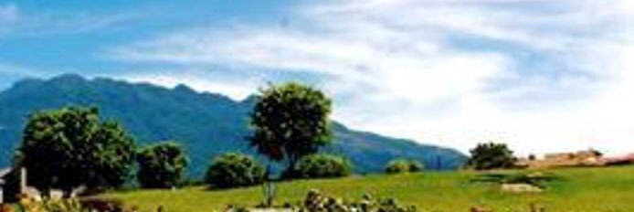 AnaCh banner