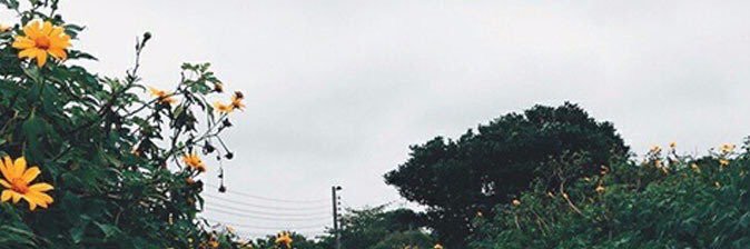 bushrassa's profile banner image