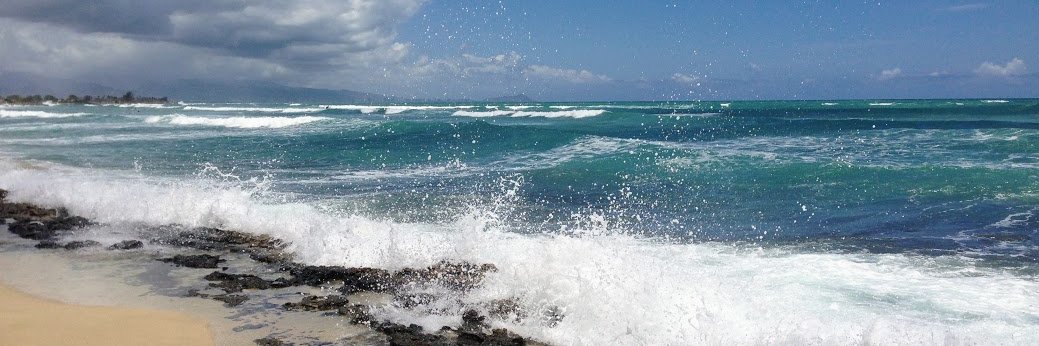 Patrick Murray banner