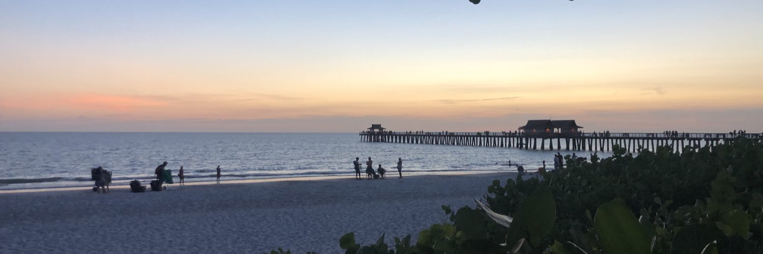 Naples Illustrated banner