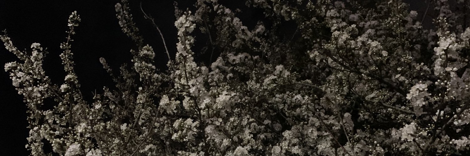 BenJacobTorrens's profile banner image
