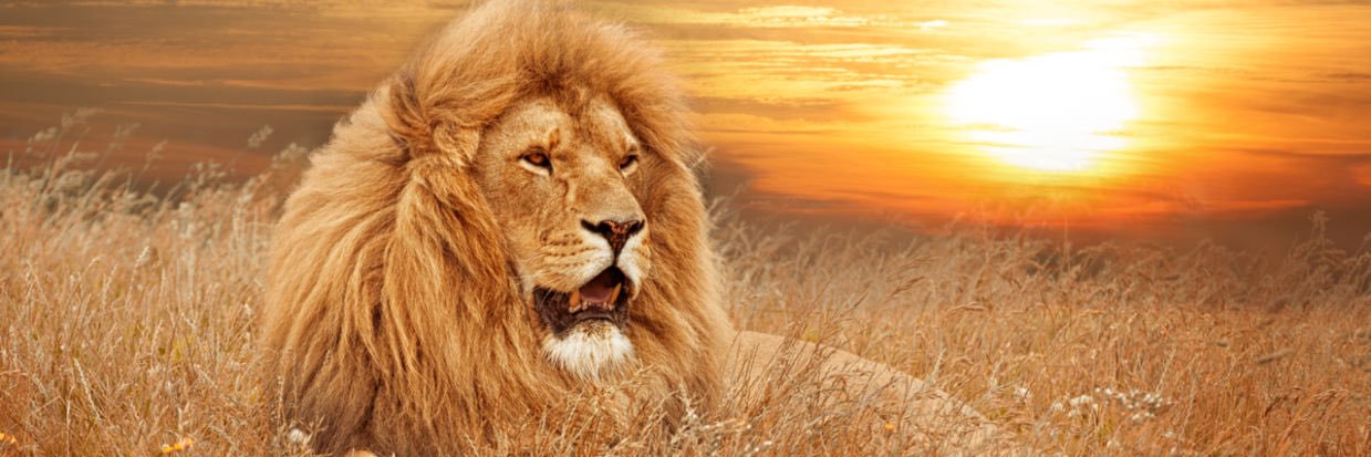 Melouahabi's profile banner image