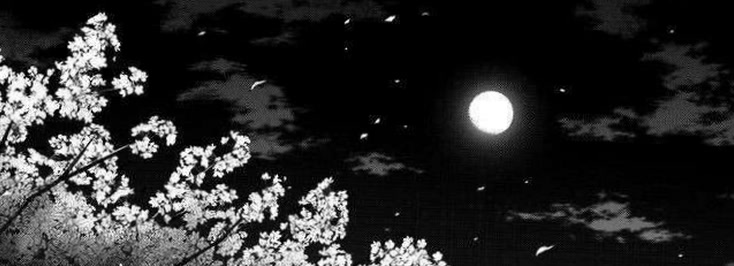 flickerlunaaa20's profile banner image