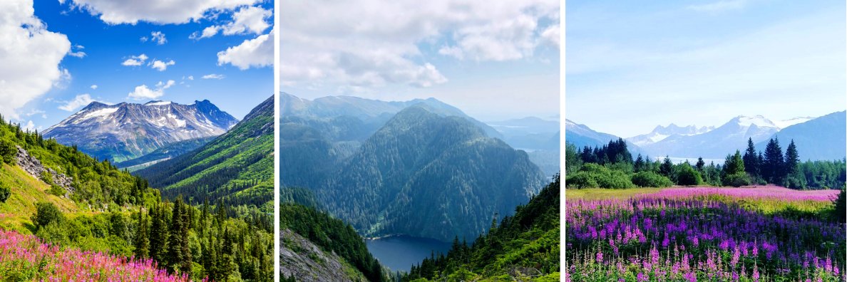 AlaskaTourJobs's profile banner image
