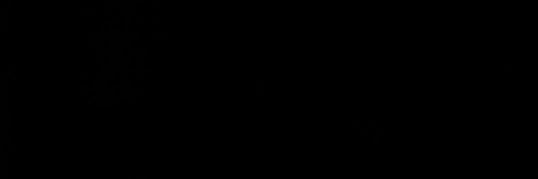 ... banner