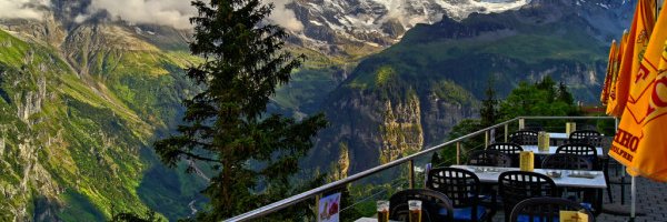 robzandee Profile Banner