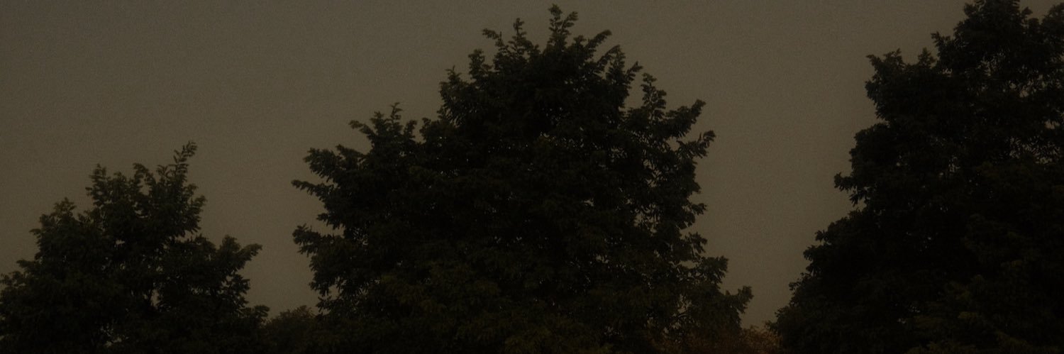 xlapushx's profile banner image