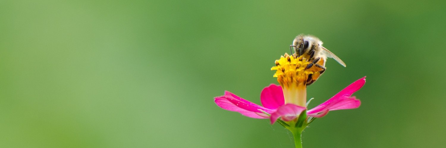 Clean Production Action banner