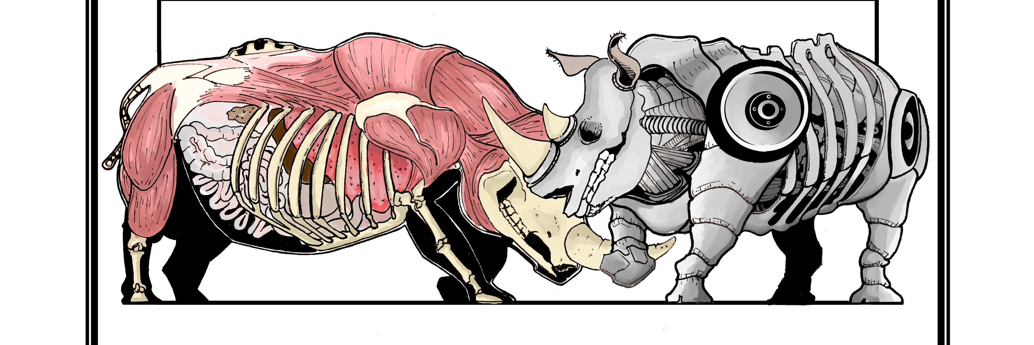 plastic_rhino's profile banner image