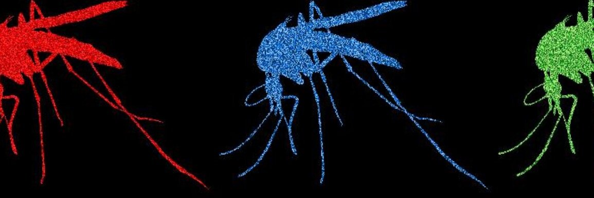 Virologia's profile banner image