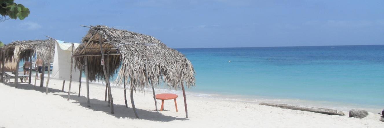 Michael Leyva banner