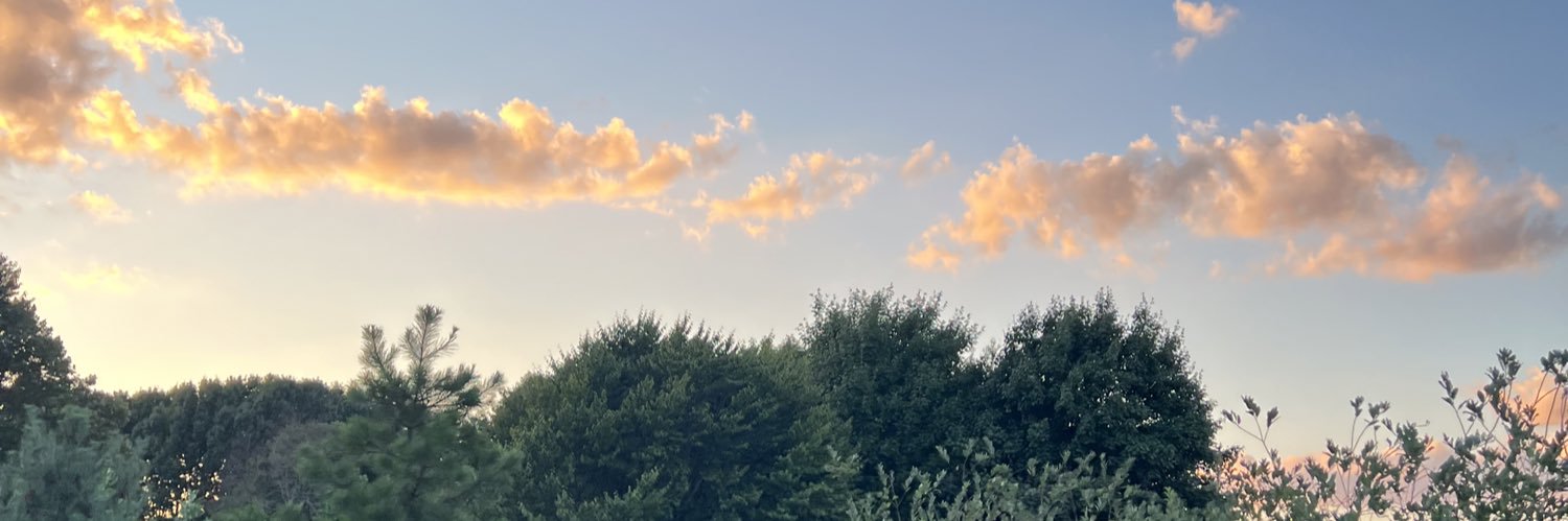 MillayMaggie's profile banner image