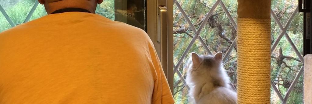 XjaimepomaredaX's profile banner image