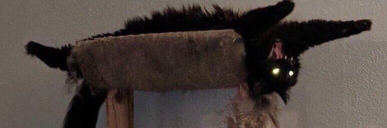 HaileyU's profile banner image