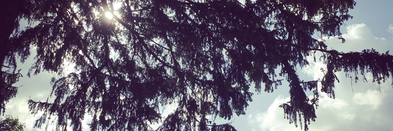 MatthewCrossen's profile banner image