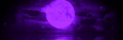 ShortiSunset banner