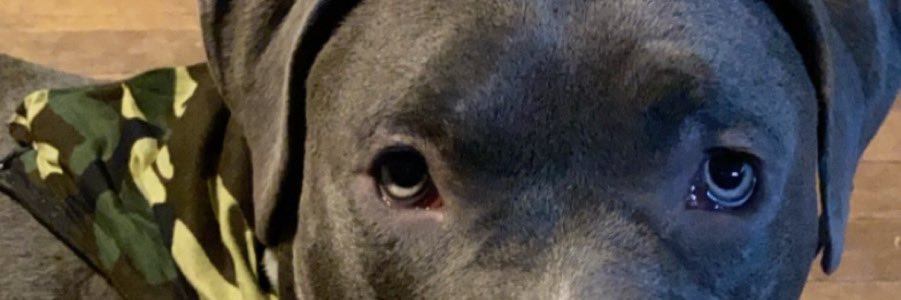 hannah_0925's profile banner image