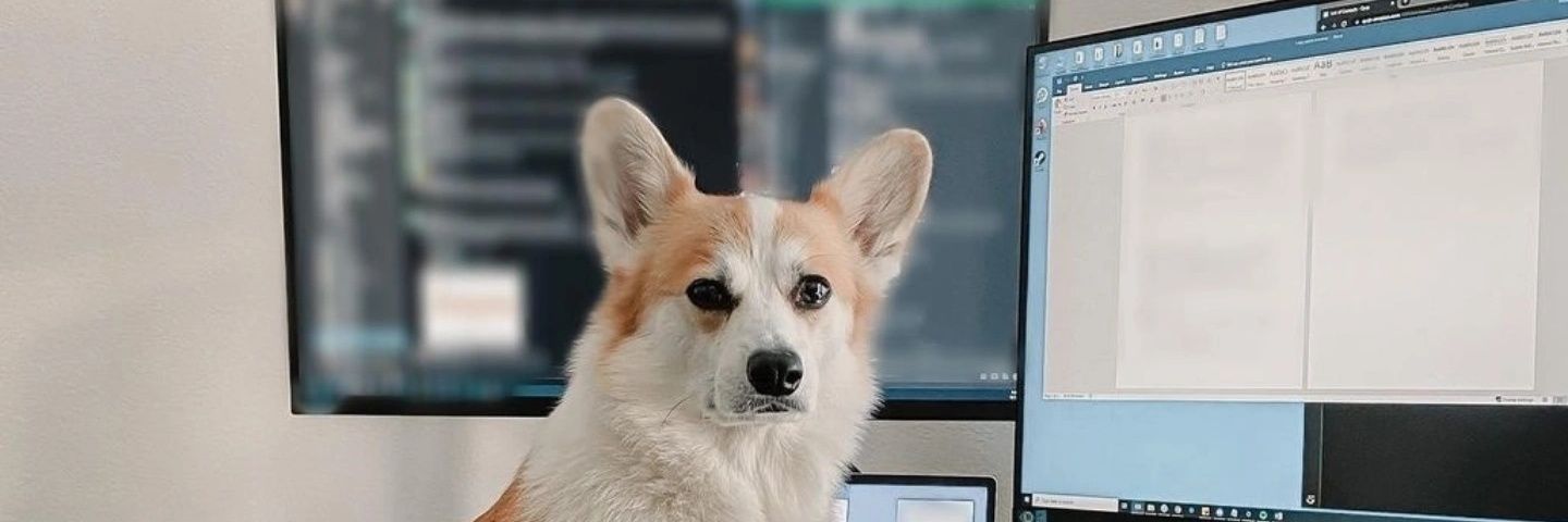 mel_wfx's profile banner image
