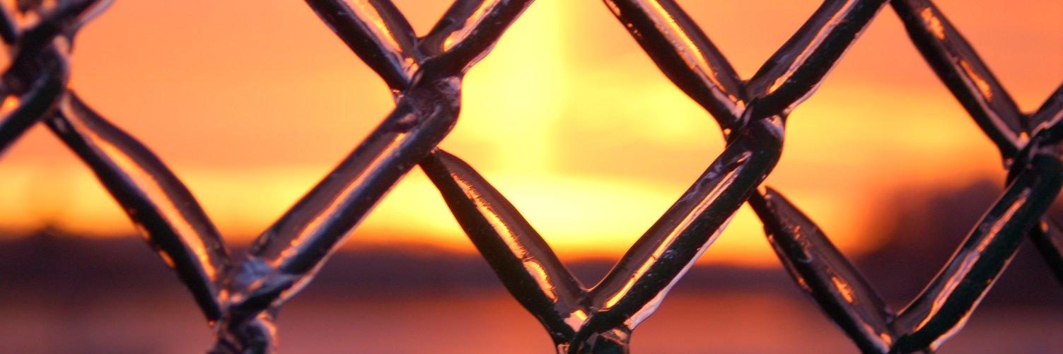 John McCaffrey banner