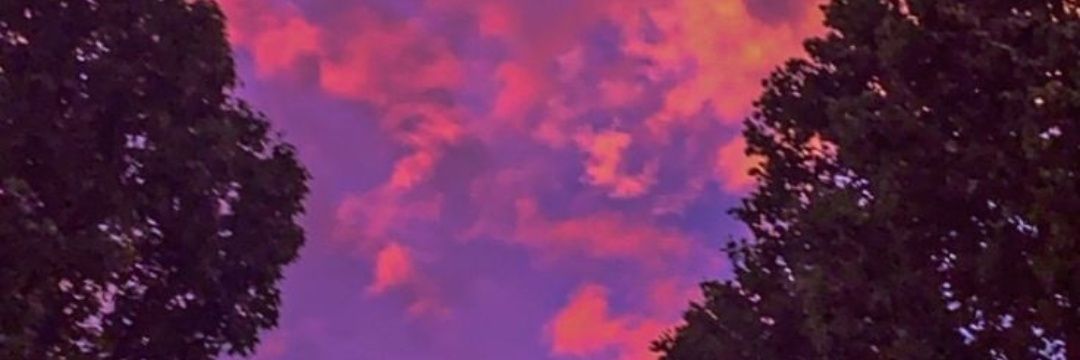 lsnpam's profile banner image