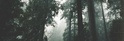 KieranPersand's profile banner image