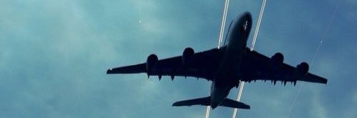 sophie banner