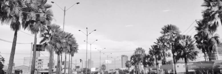 Dom_Pedro's profile banner image