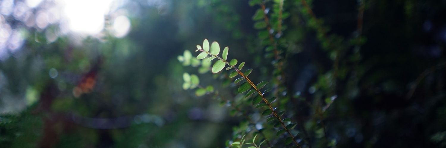 BuaHyuk's profile banner image
