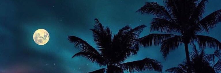 _paaatriciaa's profile banner image